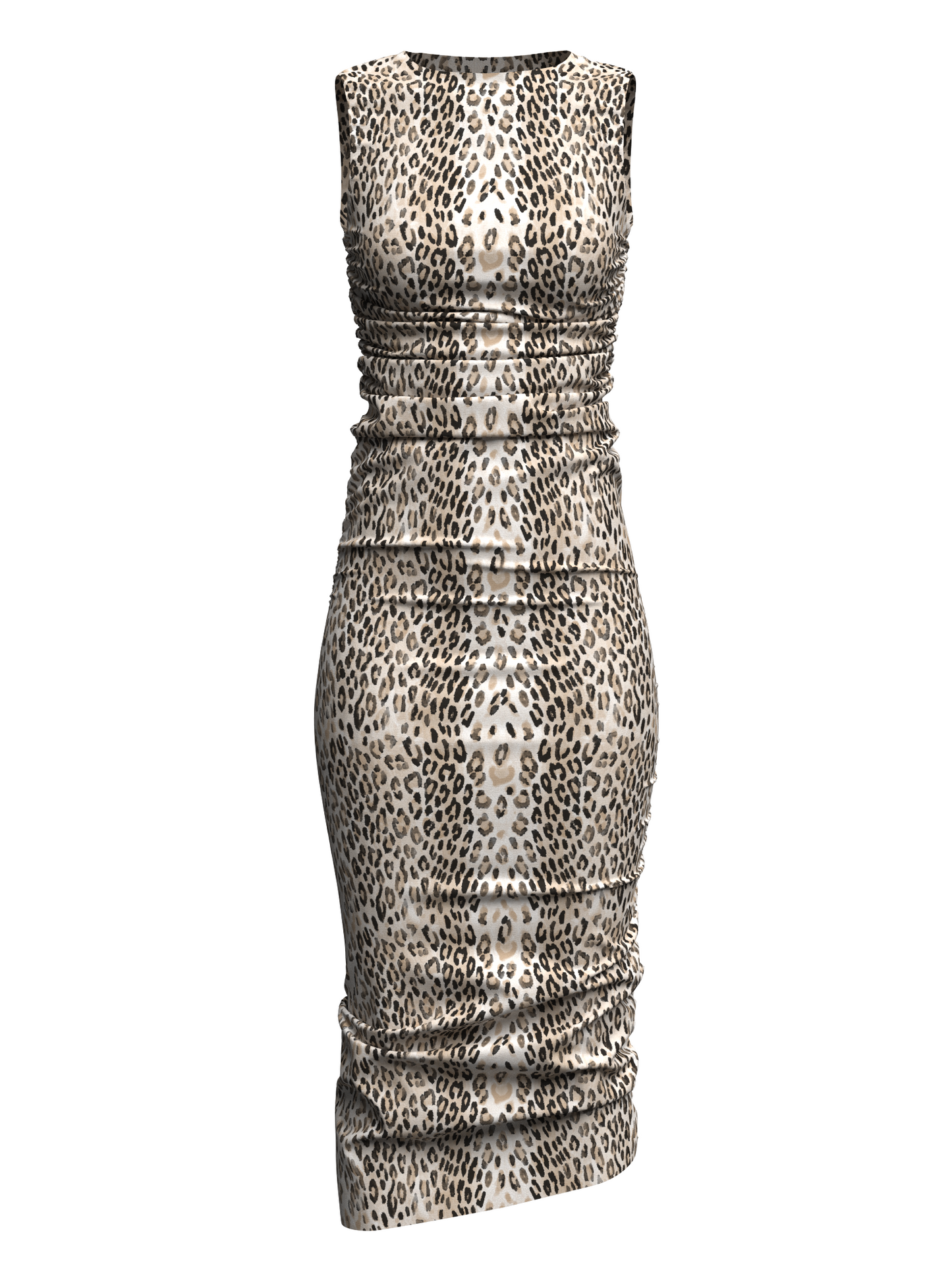 Royal Leopard