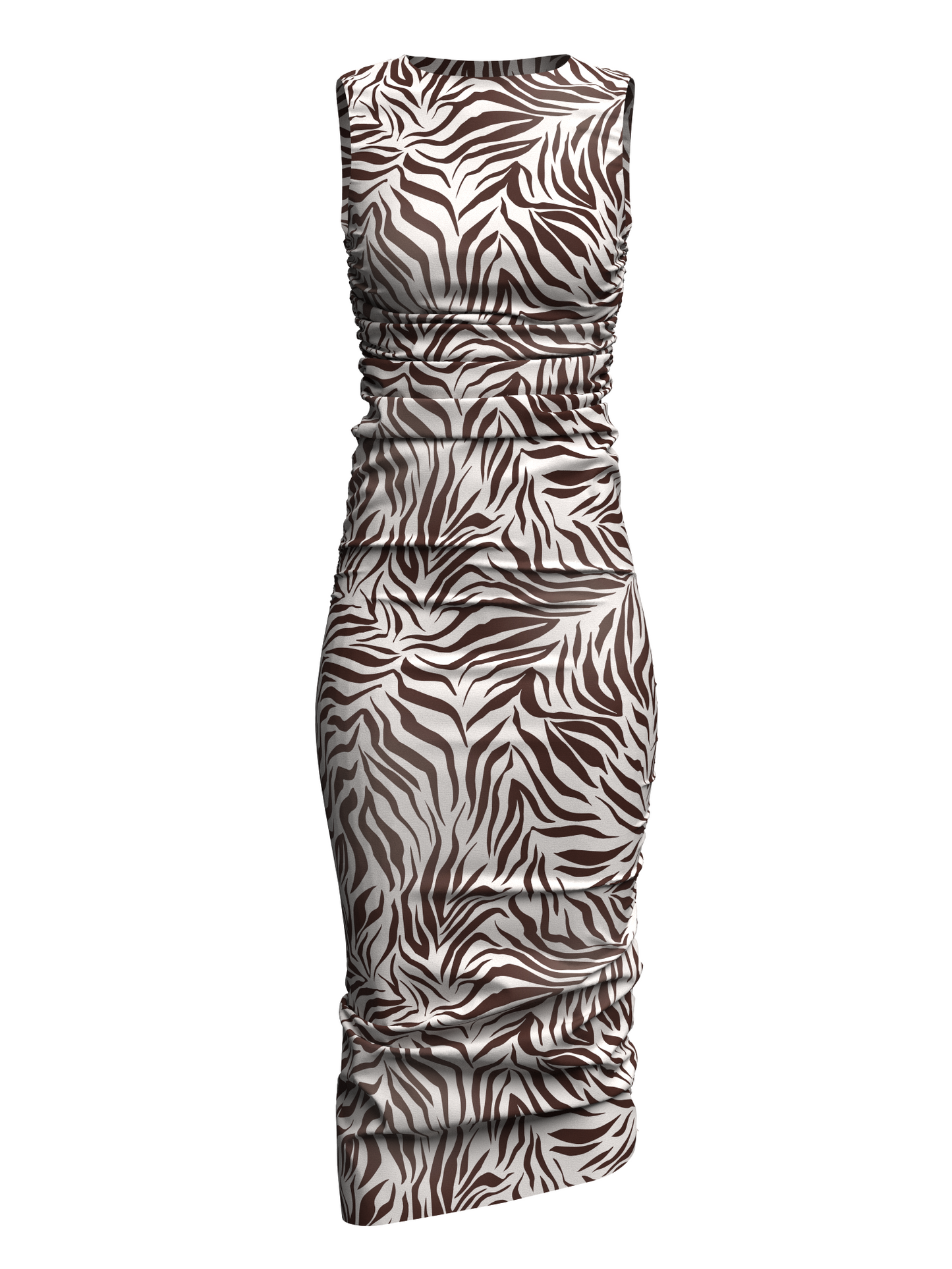 Bold Zebra