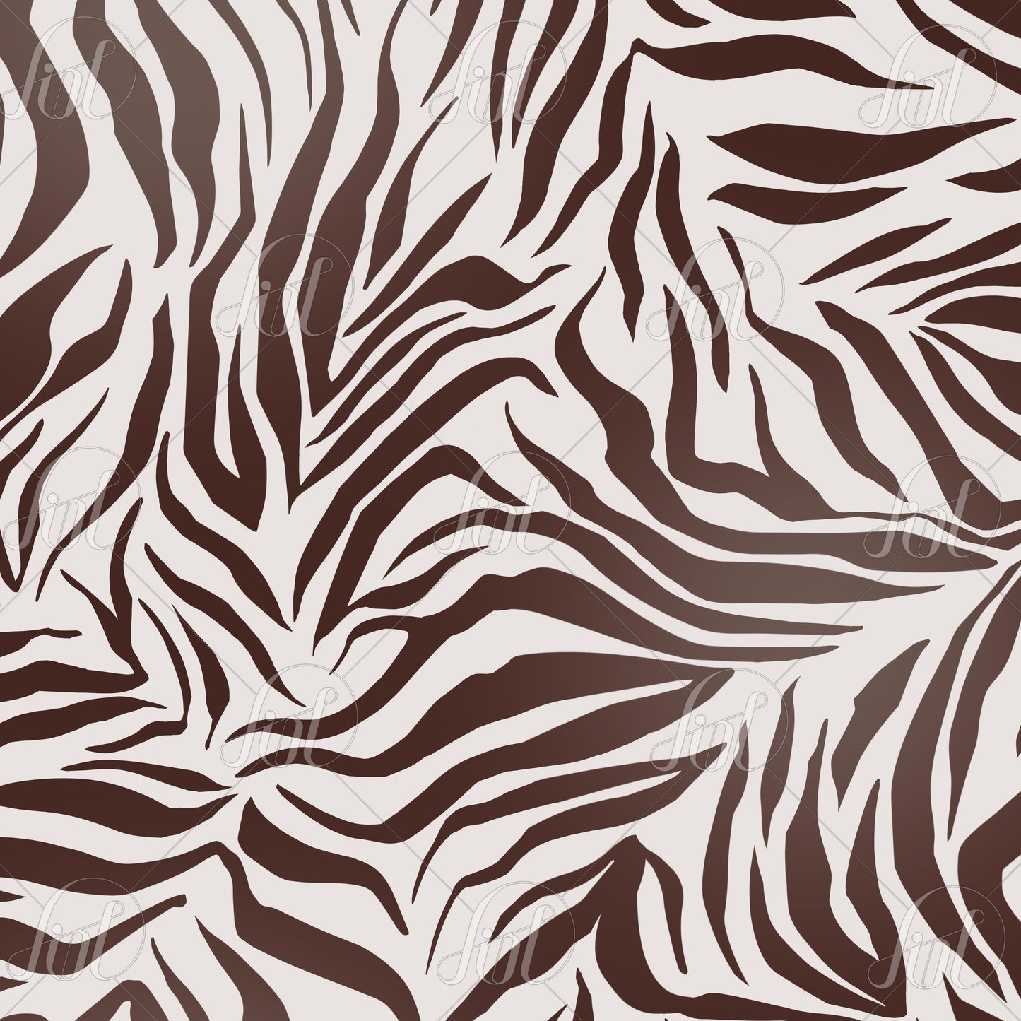 Bold Zebra