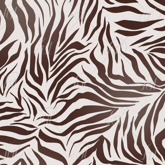 Bold Zebra