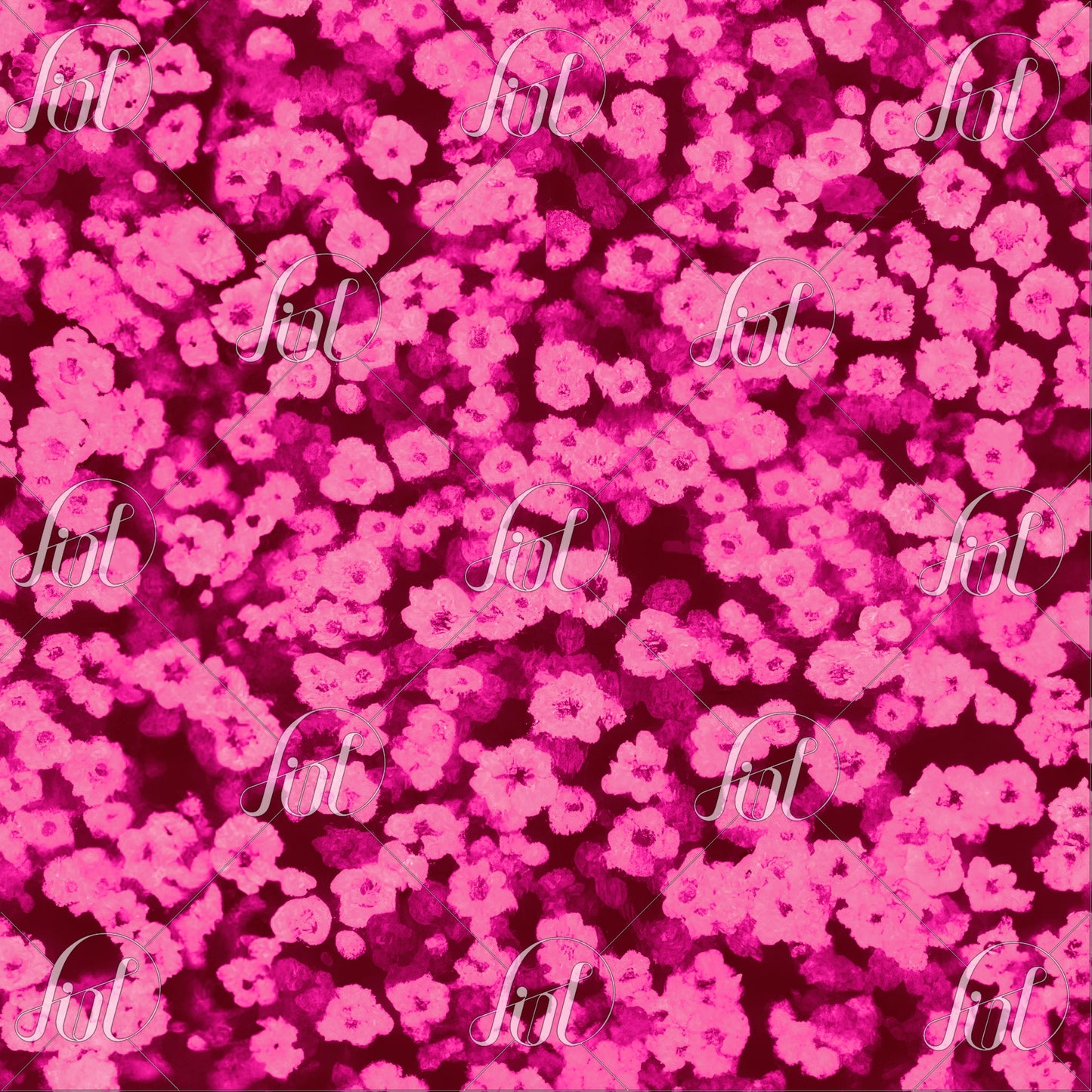 Flower Dreams