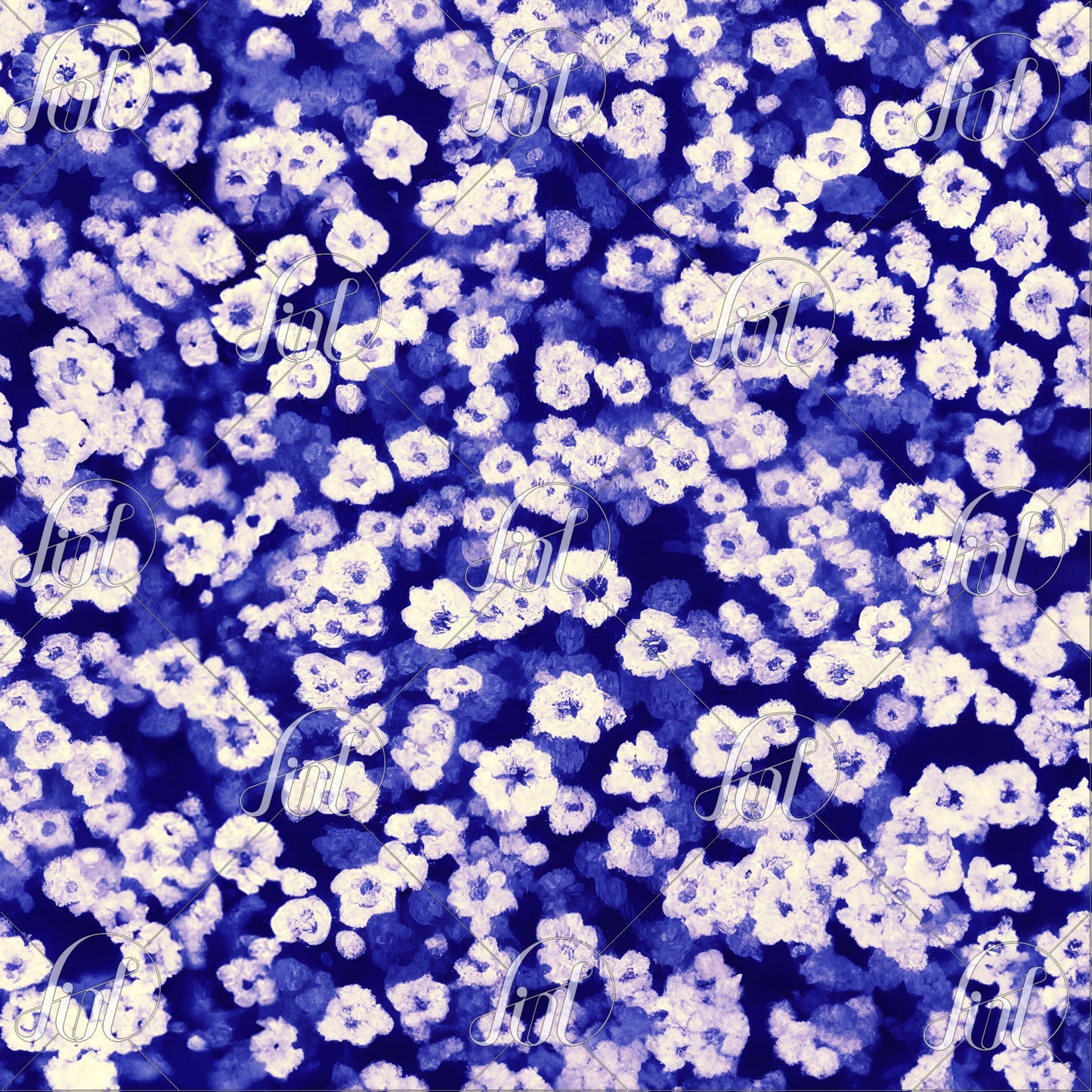 Flower Dreams