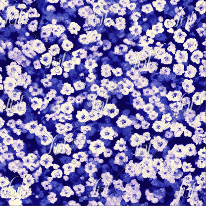 Flower Dreams