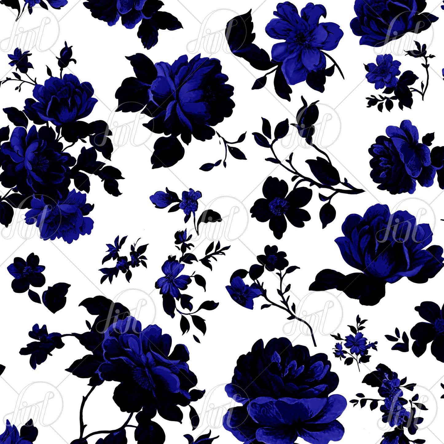 Black Violet Rose