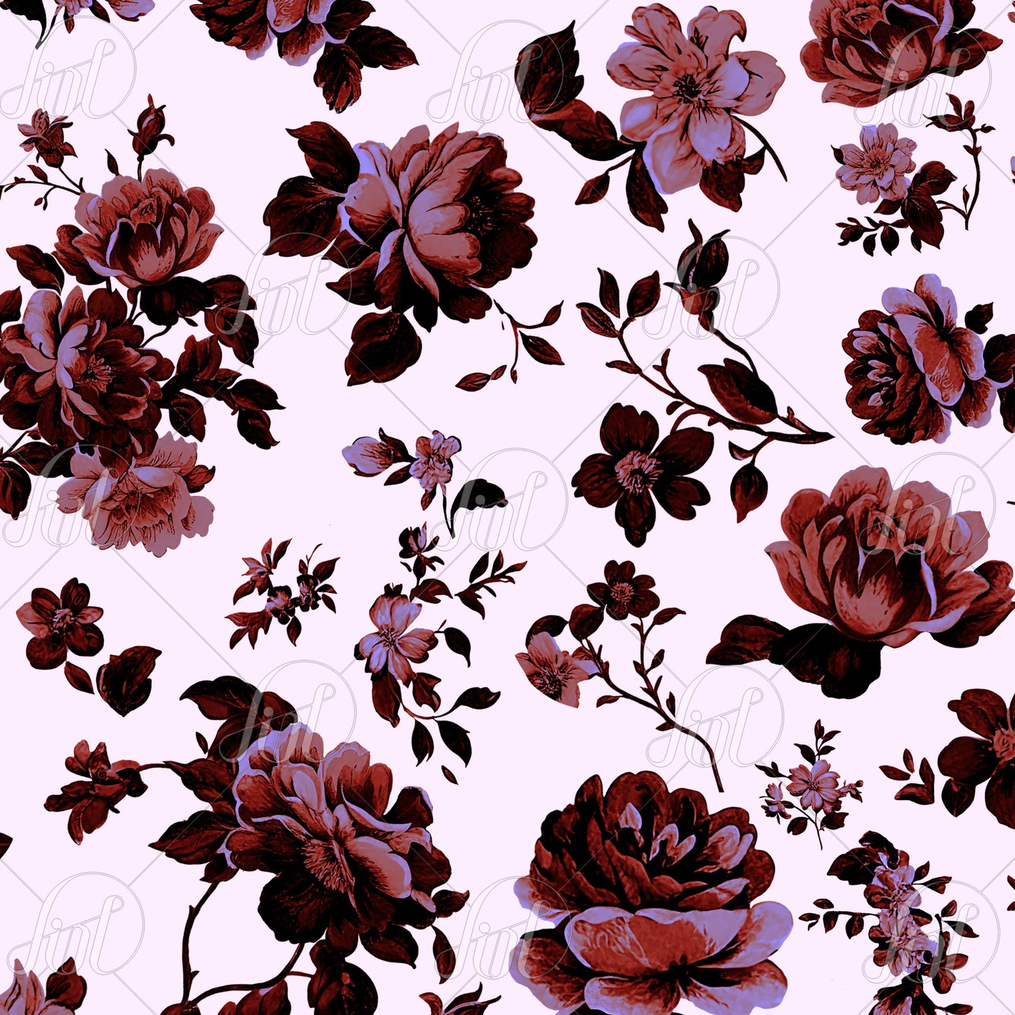 Black Violet Rose