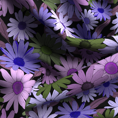 Field of Daisies