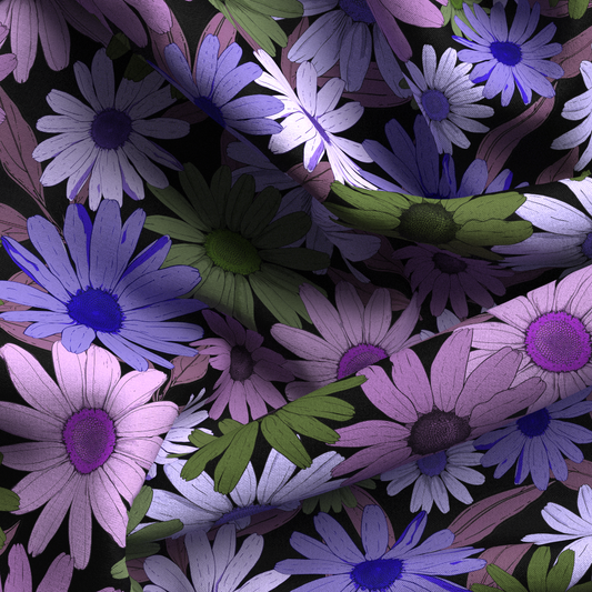 Field of Daisies