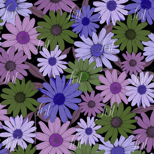 Field of Daisies