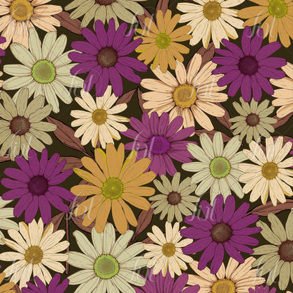 Field of Daisies