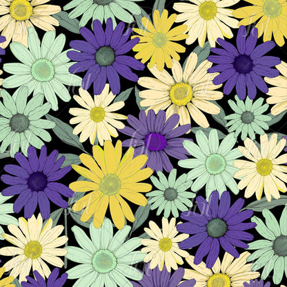 Field of Daisies