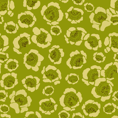 Nostalgic Poppies