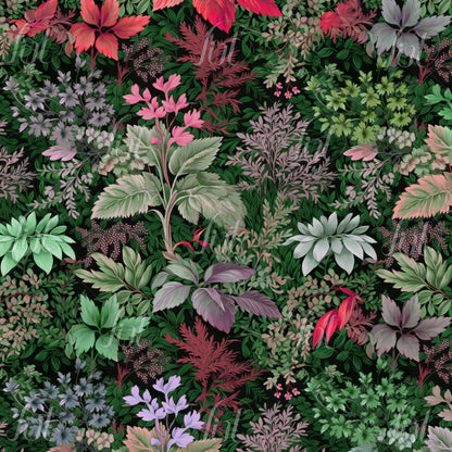 Forest Floor