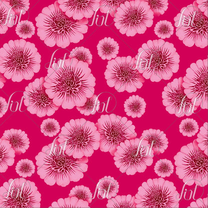 Pink Lumière