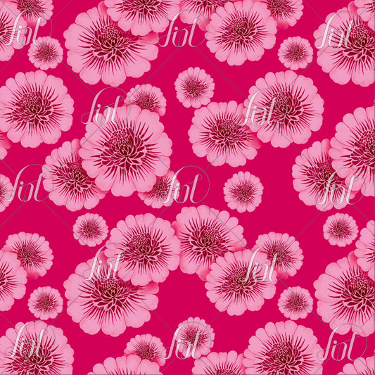 Pink Lumière